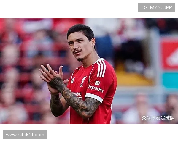 努涅斯高价转会后的期待与现实落差分析